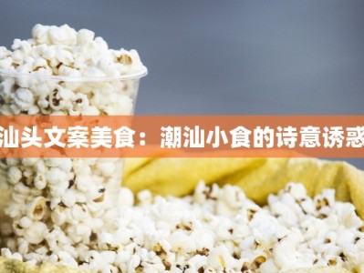 汕头文案美食：潮汕小食的诗意诱惑