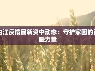 松江明兴最新疫情：科学防控，共筑健康屏障