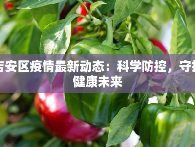 吉安区疫情最新动态：科学防控，守护健康未来