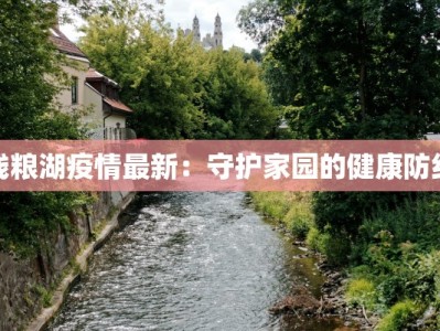 钱粮湖疫情最新：守护家园的健康防线