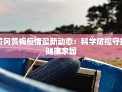 黄冈黄梅疫情最新动态：科学防控守护健康家园