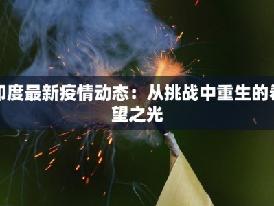 印度最新疫情动态：从挑战中重生的希望之光
