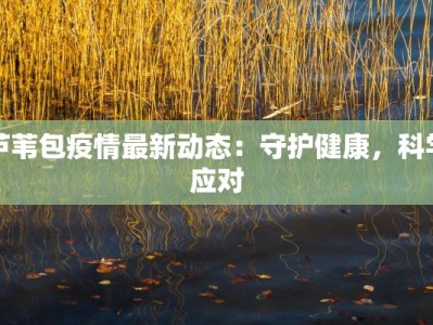 泉州最新疫情那人：守护家园的温暖力量