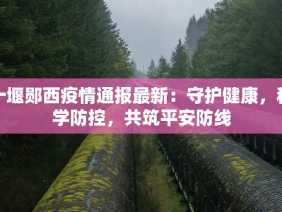 十堰郧西疫情通报最新：守护健康，科学防控，共筑平安防线