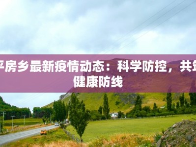 平房乡最新疫情动态：科学防控，共筑健康防线