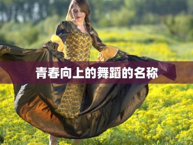 青春向上的舞蹈的名称
