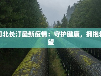 河北长汀最新疫情：守护健康，拥抱希望