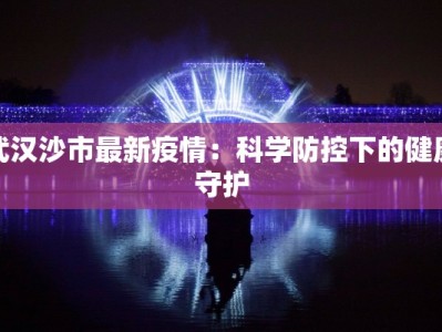 武汉沙市最新疫情：科学防控下的健康守护