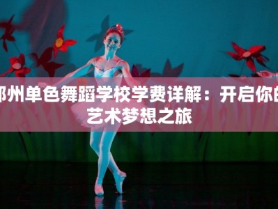 郑州单色舞蹈学校学费详解：开启你的艺术梦想之旅