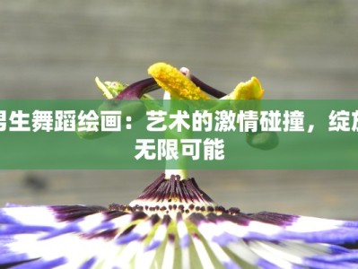 男生舞蹈绘画：艺术的激情碰撞，绽放无限可能