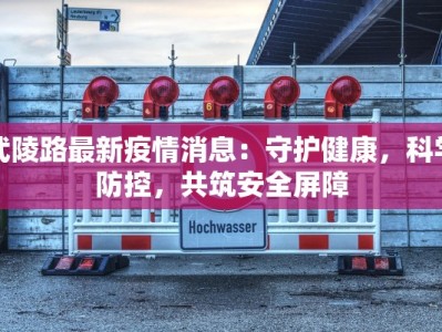 武陵路最新疫情消息：守护健康，科学防控，共筑安全屏障