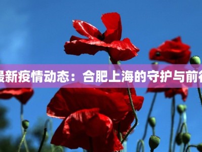 最新疫情动态：合肥上海的守护与前行