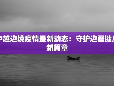 中越边境疫情最新动态：守护边疆健康新篇章