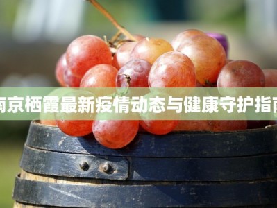 南京栖霞最新疫情动态与健康守护指南