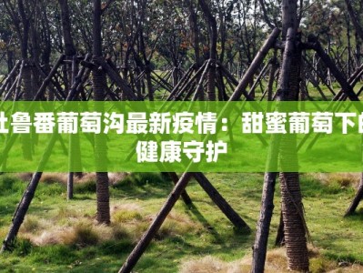 吐鲁番葡萄沟最新疫情：甜蜜葡萄下的健康守护