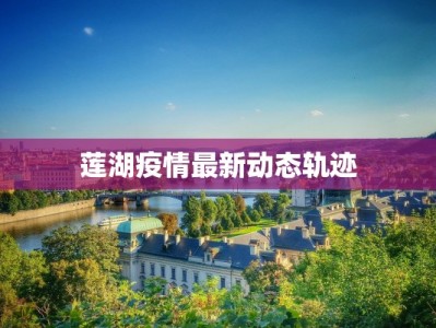 莲湖疫情最新动态轨迹