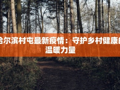 哈尔滨村屯最新疫情：守护乡村健康的温暖力量