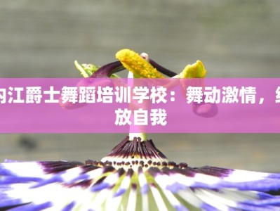 内江爵士舞蹈培训学校：舞动激情，绽放自我