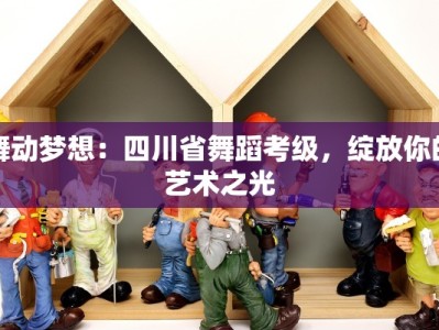 舞动梦想：四川省舞蹈考级，绽放你的艺术之光
