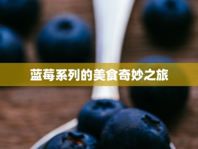 蓝莓系列的美食奇妙之旅