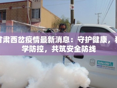 甘肃西岔疫情最新消息：守护健康，科学防控，共筑安全防线