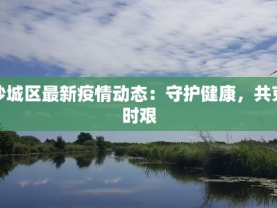 沙城区最新疫情动态：守护健康，共克时艰