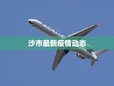 沙市最新疫情动态