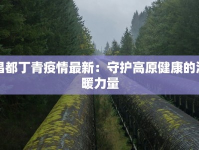 昌都丁青疫情最新：守护高原健康的温暖力量