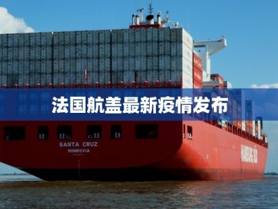 法国航盖最新疫情发布