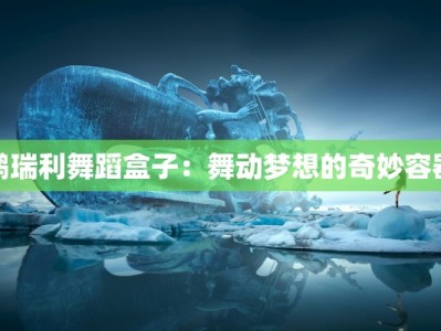 鹏瑞利舞蹈盒子：舞动梦想的奇妙容器