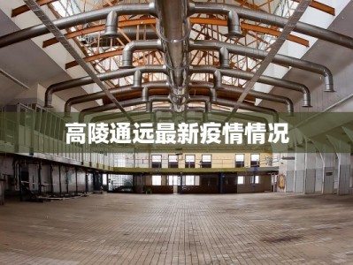 高陵通远最新疫情情况