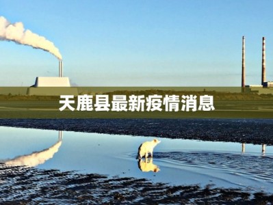 印度疫情最新实际情况：从挑战到希望的回响