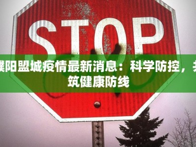 濮阳盟城疫情最新消息：科学防控，共筑健康防线