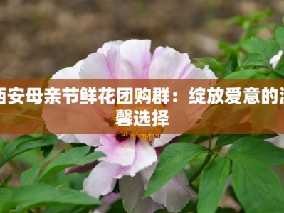 西安母亲节鲜花团购群：绽放爱意的温馨选择