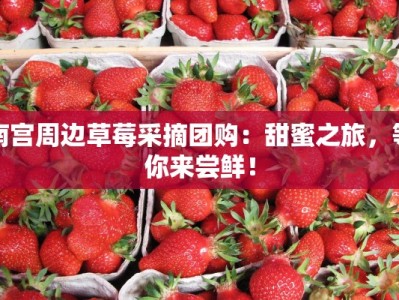 南宫周边草莓采摘团购：甜蜜之旅，等你来尝鲜！