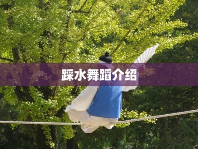 踩水舞蹈介绍