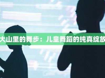天禅表演住宿团购：一场心灵与感官的完美之旅