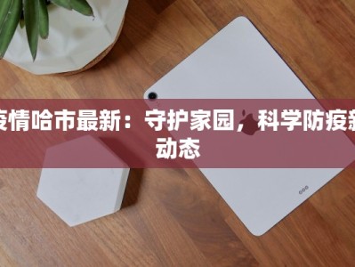 疫情哈市最新：守护家园，科学防疫新动态