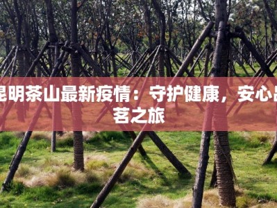 吉林东光最新疫情：科学防控，守护健康家园