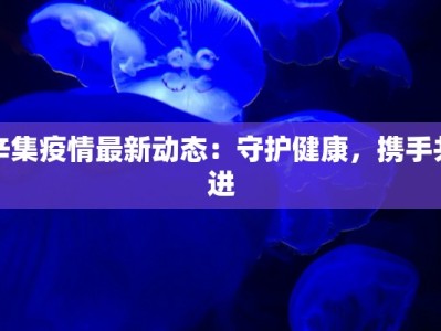 辛集疫情最新动态：守护健康，携手共进