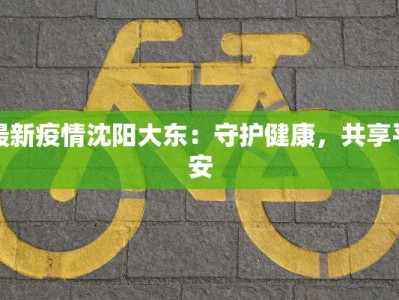 最新疫情沈阳大东：守护健康，共享平安