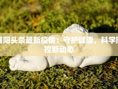 上海建材团购活动：省钱又省心的装修新选择