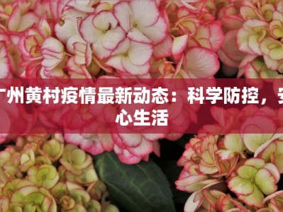 嘉兴县最新疫情通报