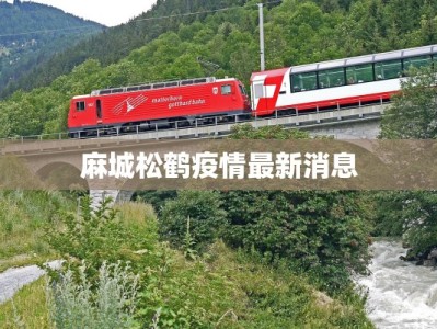 麻城松鹤疫情最新消息