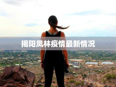 揭阳凤林疫情最新情况