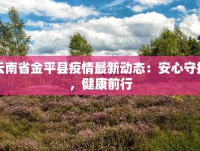 韩国疫情最新报道：从危机中重生，守护健康新篇章