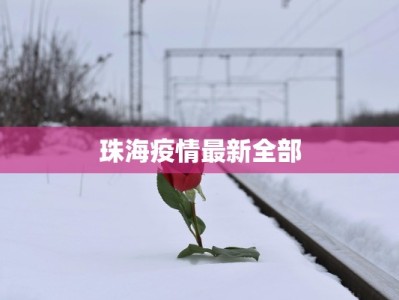 全国最新的疫情厦门：守护健康，拥抱活力