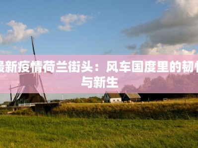 最新疫情荷兰街头：风车国度里的韧性与新生