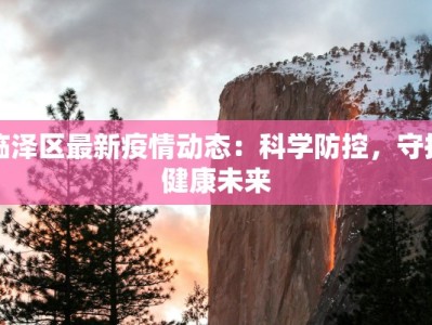 临泽区最新疫情动态：科学防控，守护健康未来